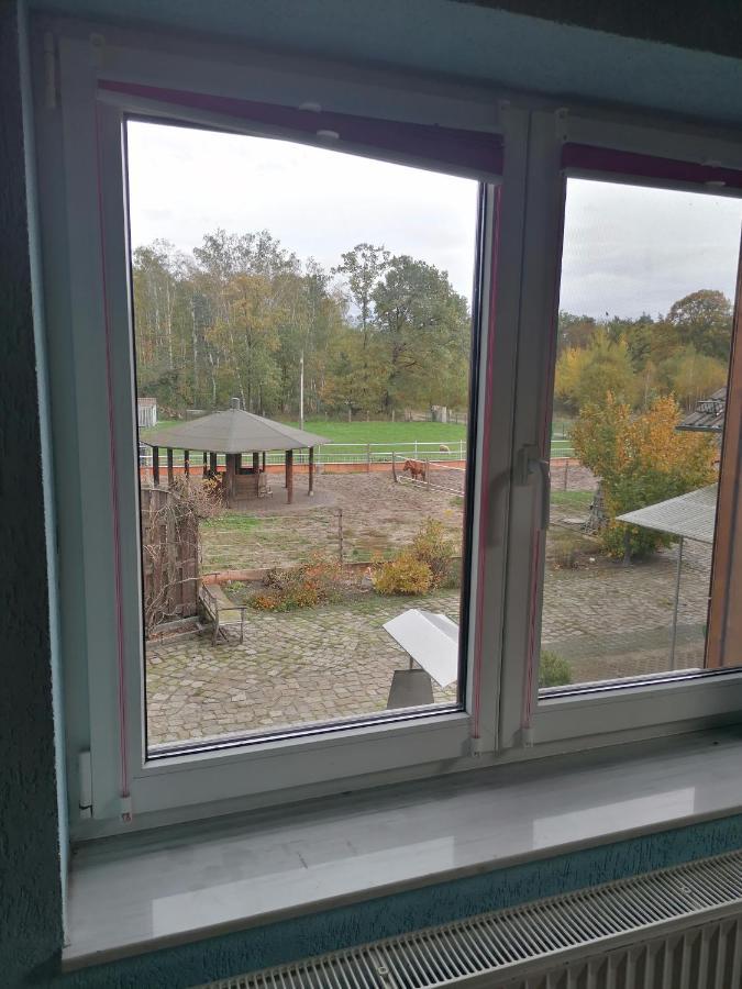 Weidmannsruh Apartment Fuer 2 Bis 3 Personen Frauendorf  Екстер'єр фото